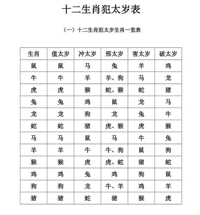 2024年什么命