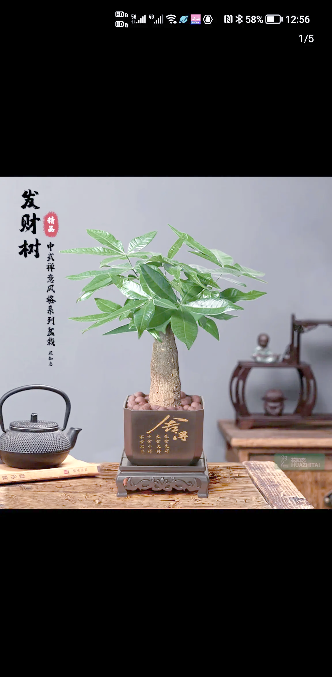 2025年5月 第20页