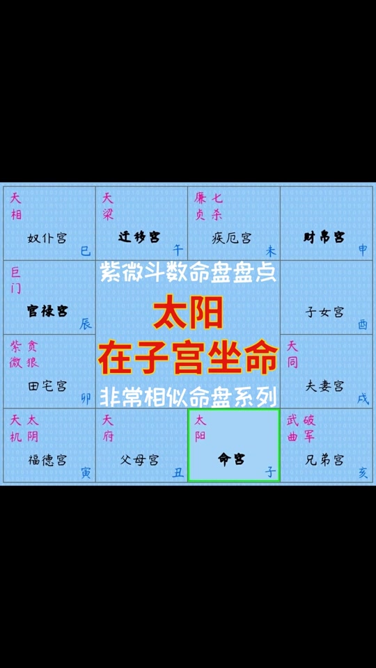 紫微命盘查询
