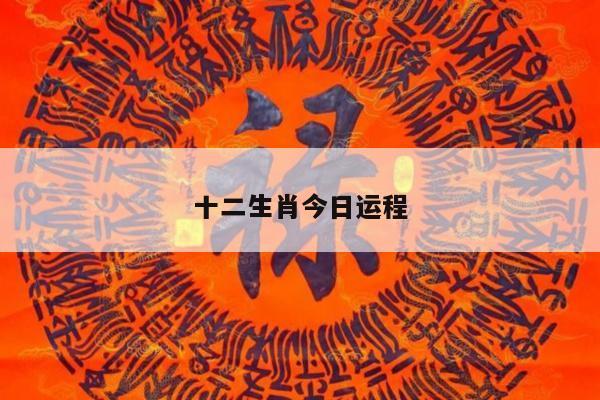 十二生肖今日运程