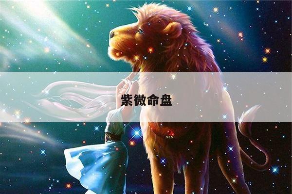 紫微命盘