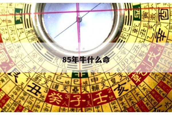 85年牛什么命