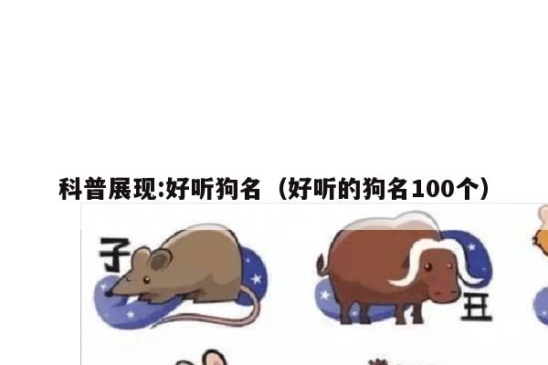 科普展现:好听狗名（好听的狗名100个）