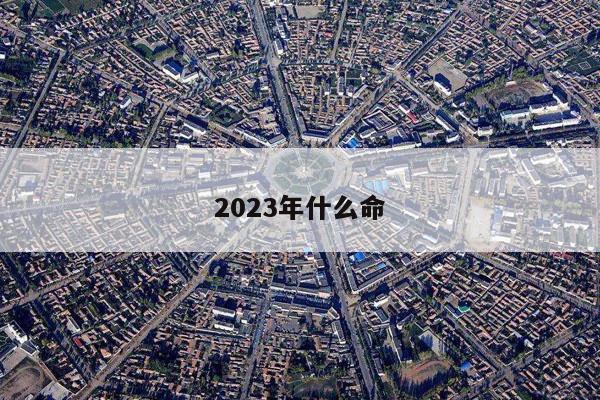 2023年什么命