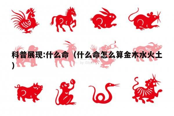 科普展现:什么命（什么命怎么算金木水火土）