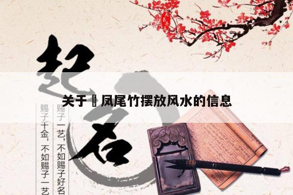 关于​凤尾竹摆放风水的信息