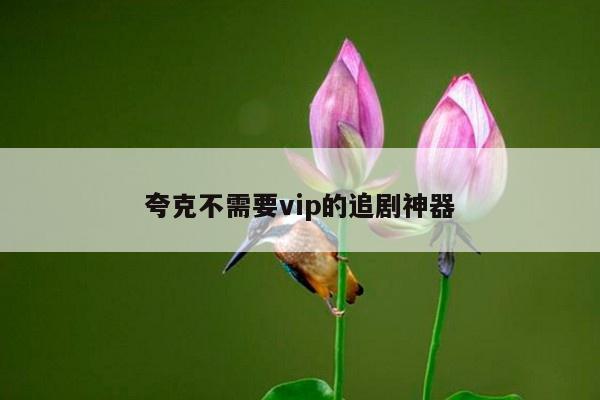 夸克不需要vip的追剧神器