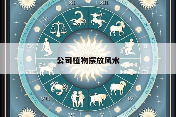 公司植物摆放风水