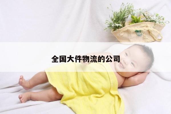 全国大件物流的公司