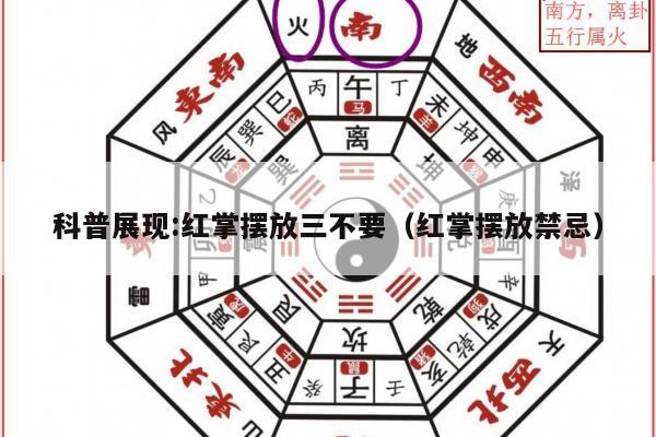 科普展现:红掌摆放三不要（红掌摆放禁忌）