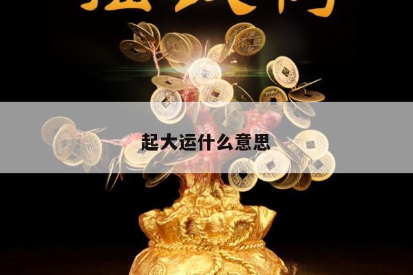 起大运什么意思