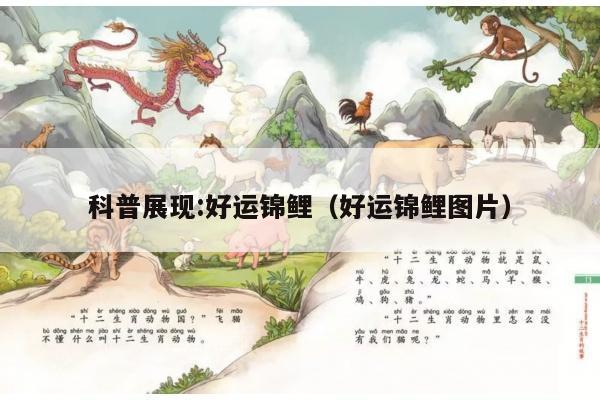 科普展现:好运锦鲤（好运锦鲤图片）