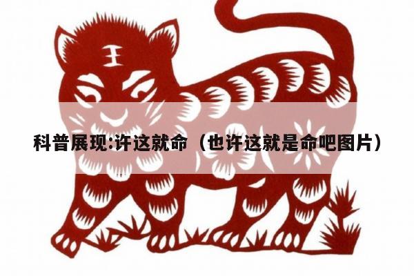 科普展现:许这就命（也许这就是命吧图片）
