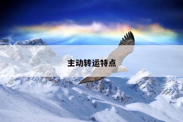 主动转运特点