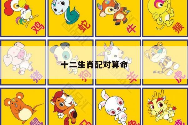 十二生肖配对算命