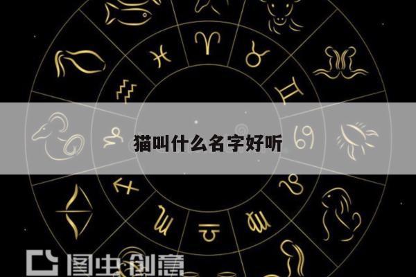 猫叫什么名字好听