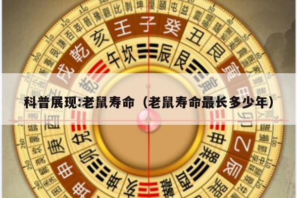 科普展现:老鼠寿命（老鼠寿命最长多少年）