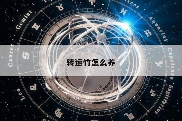转运竹怎么养