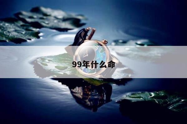 99年什么命
