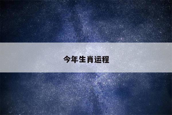 今年生肖运程