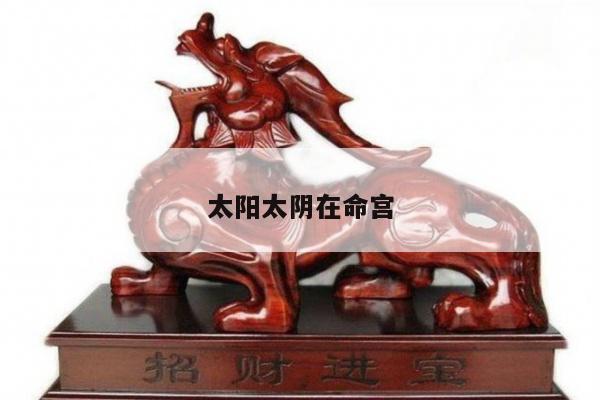 太阳太阴在命宫