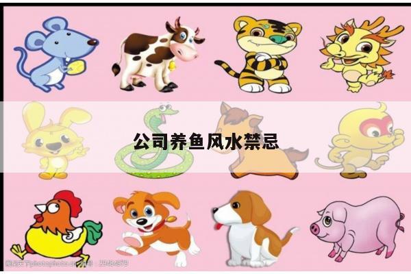 公司养鱼风水禁忌