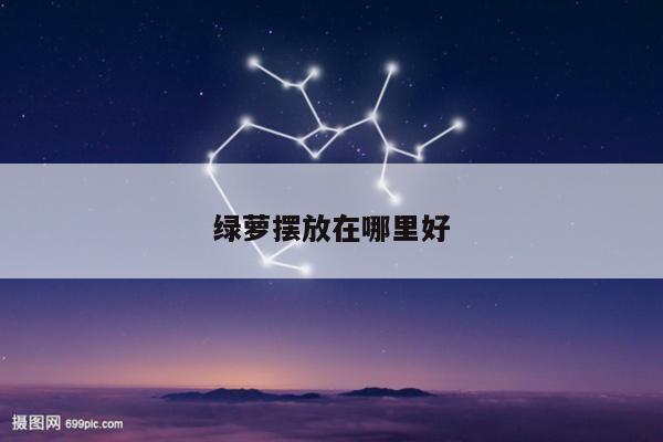 绿萝摆放在哪里好