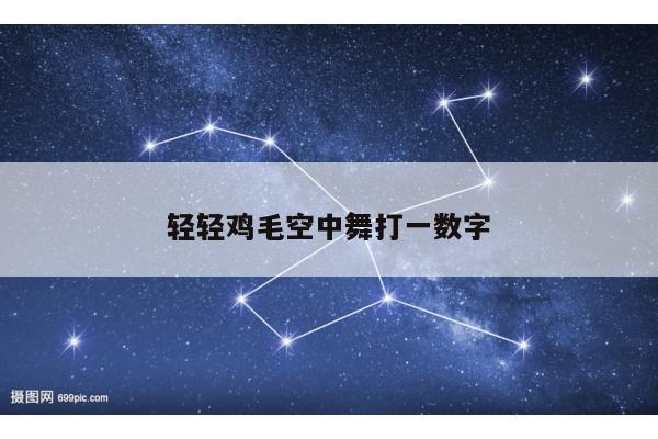 轻轻鸡毛空中舞打一数字
