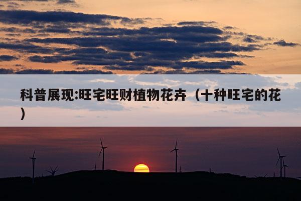 科普展现:旺宅旺财植物花卉（十种旺宅的花）