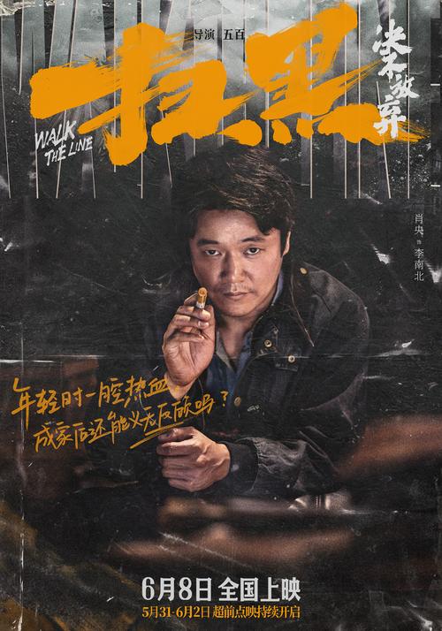 113影视网剧情篇迅雷,113电影电视剧