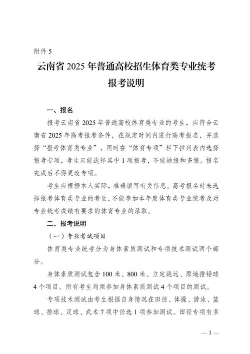 体育报考,体育报考怎么报