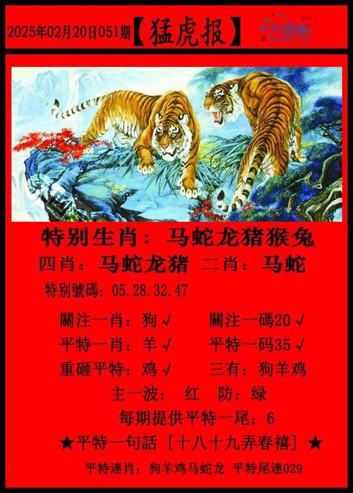 澳门今晚特马资料查,今晚澳门9点35分开什么