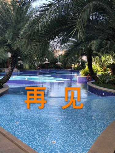 曾夫人免费资料论坛,曾夫人免费资料论坛中心