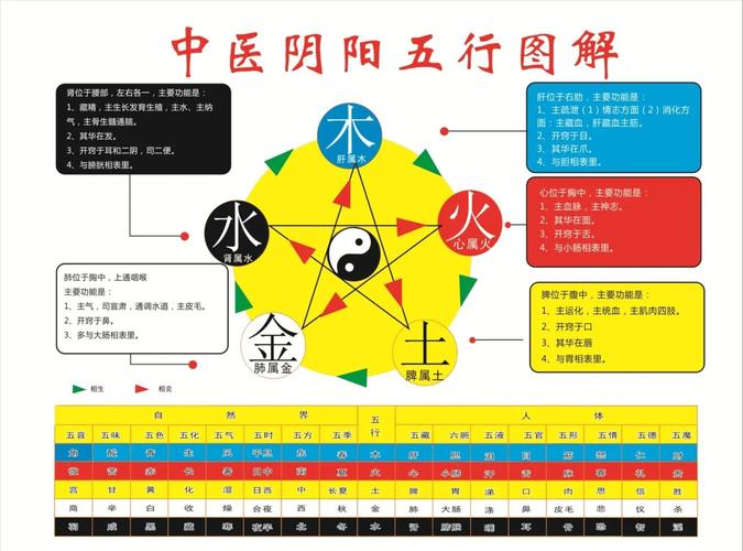 五行相生相克的精准排肖公式,五行相生相克的精准排肖公式有哪些