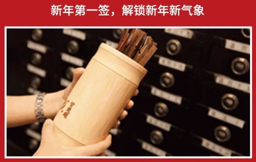 2024全年正版资料大全,2021正版资料大全全年四年老玩家揭秘