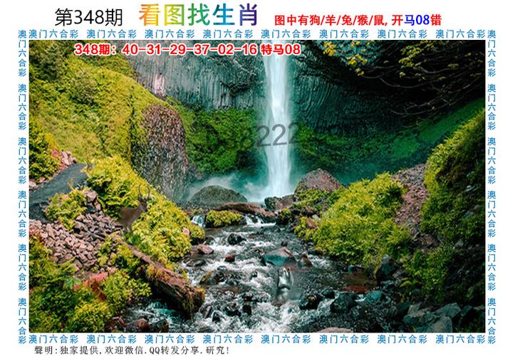 旧澳门神童免费资料网,澳门神童平特一肖马彩